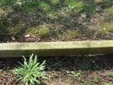 image of grave number 922957